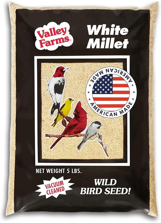 Valley Farms White Millet Wild Bird Seed (5LB) for Outside feeders, White proso Millet, Bird Watcher Secret Wild Bird Food to Attract Colorful Painted Buntings in Southern USA