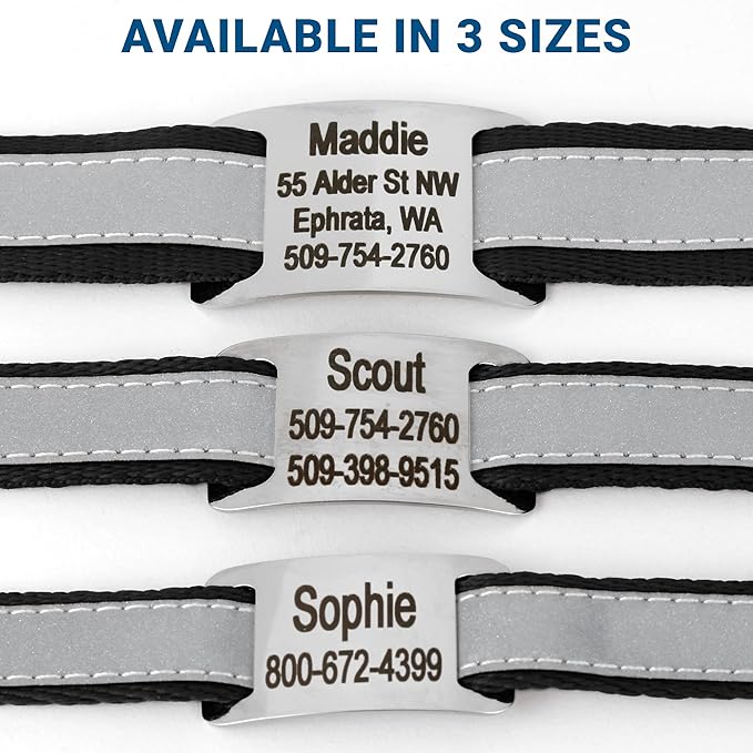 GoTags Reflective Personalized Dog Collar with Nameplate, Adjustable Dog Collar with Custom Engraved Steel Slide On Pet ID Tag, Silent, No Noise Dog Tag for Large Medium or Small (Black, Small)