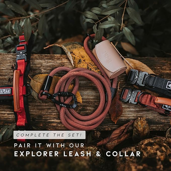 MADE TO ROAM Premium Explorer Harness - Y-Shaped Dog Harness with Adjustable Durable Nylon, Soft Padding, Metal Buckles and Leather Handle for Small, Medium, Large Dogs (Arizona Heartbeat, Size 1)