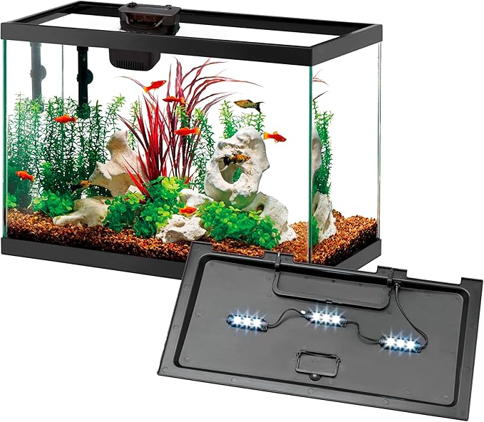 Aqueon 10 Gallon Aquarium Starter Kit with SmartClean Filtration and LED Lighting for Tropical Freshwater Fish