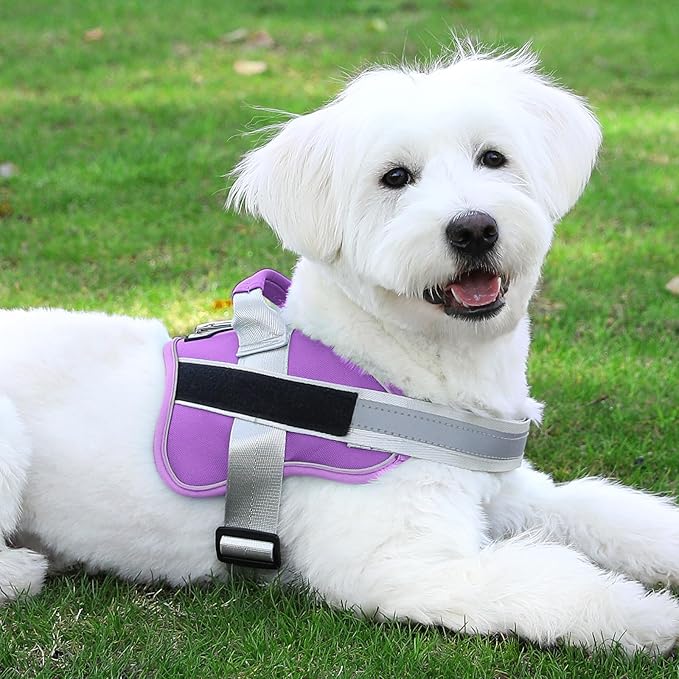 Bolux Dog Harness, No-Pull Reflective Dog Vest, Breathable Adjustable Pet Harness with Handle for Outdoor Walking - No More Pulling, Tugging or Choking (Lavender, Small (Pack of 1))