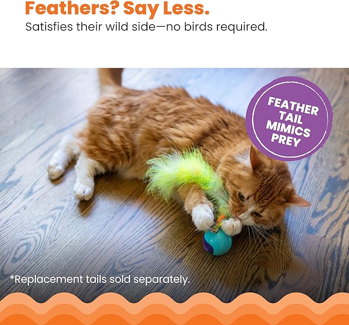 Catstages Roll & Chase Robot Toy –Interactive Electronic Cat Toy for Indoor with Feather Teaser Tail, Lights, USB Rechargeable, Automatic Moving Action for Active Play, Mental Stimulation & Enrichment