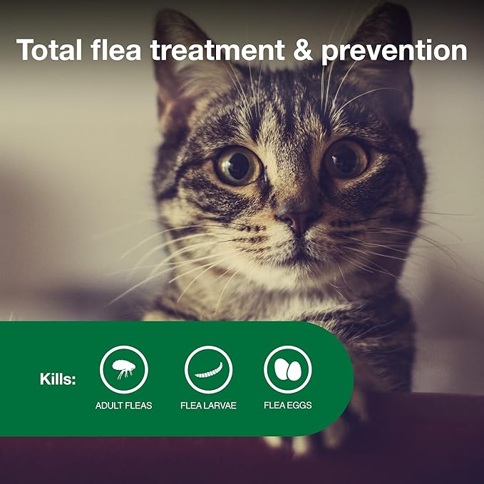 Advantage II Small Cat Vet-Recommended Flea Treatment & Prevention | Cats 5-9 lbs. | 8-Month Supply