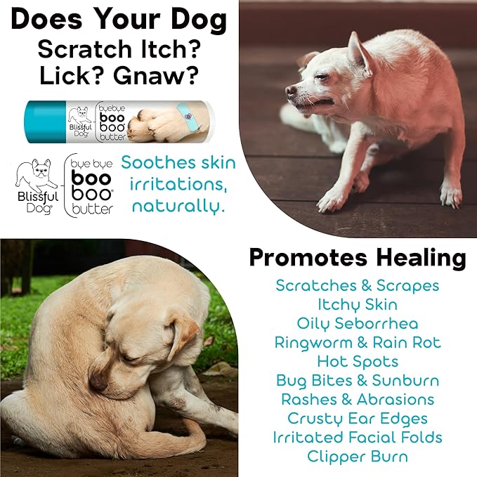 The Blissful Dog Chinese Crested Boo Butter, 2 oz