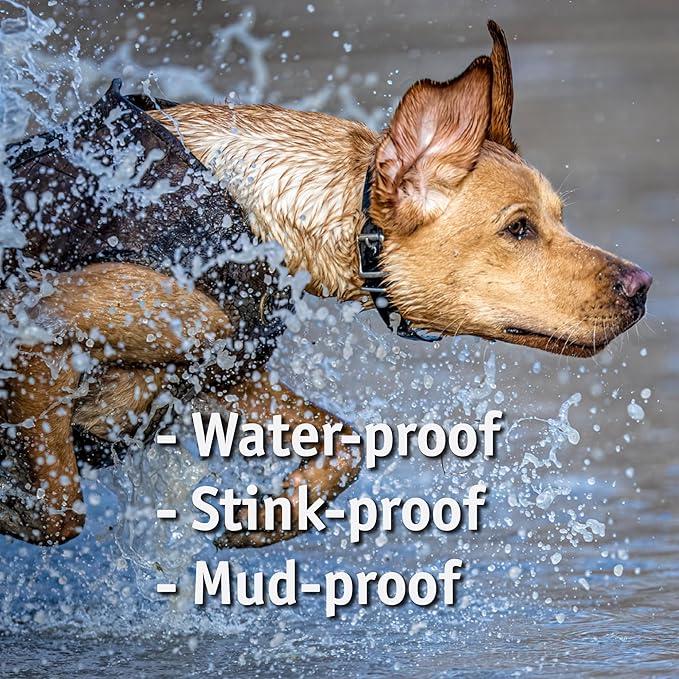 Biothane Custom Dog Collar – Waterproof, Stink-Proof Personalized Collar with Name & Phone Number – Durable, Many Sizes and Colors – Assembled in USA (Black)