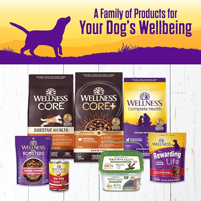 Wellness Complete Health Thick & Chunky Natural Grain Free Canned Wet Dog Food, Turkey & Duck Stew, 12.5-Ounce Can (Pack of 12)