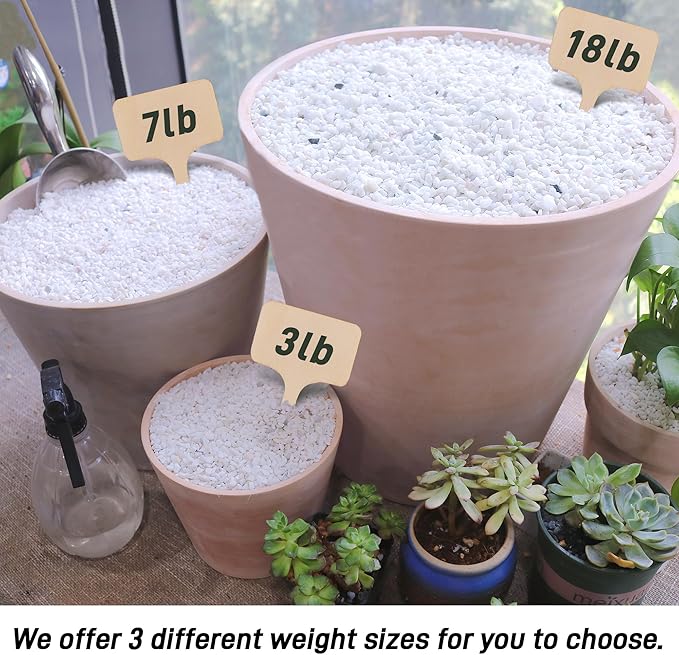 45lb White Cactus Pea Gravel Rocks,1/4 Inch Pebbles for Indoor Plants, Natural Succulent Rock and River Rocks Decorative for Aquariums, Vases, Outdoor Gardening, Top Dressing for Potted Plants