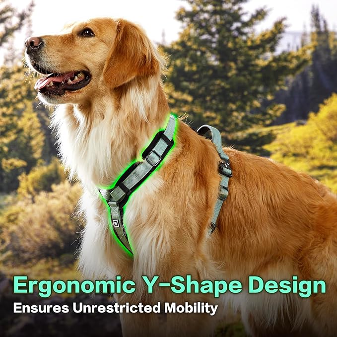 CLEPAWS Dog Harness for Large Dogs, No Pull Dog Harness Easy Walk with Metal Hardware, Ergonomic Y-Shaped Design, Soft Padding, Padded Handle, Durable High-Tensile Nylon (Seabreeze, L)