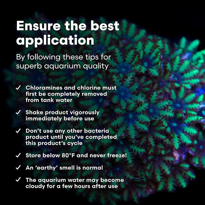 Brightwell Aquatics MicroBacter Start XLM - Concentrated Freshwater Nitrifying Bacteria - Quick Start Fish Tank Starter, Lift Microbe Levels & Water Filtering - Aquarium Water Treatments, 33.8 fl oz