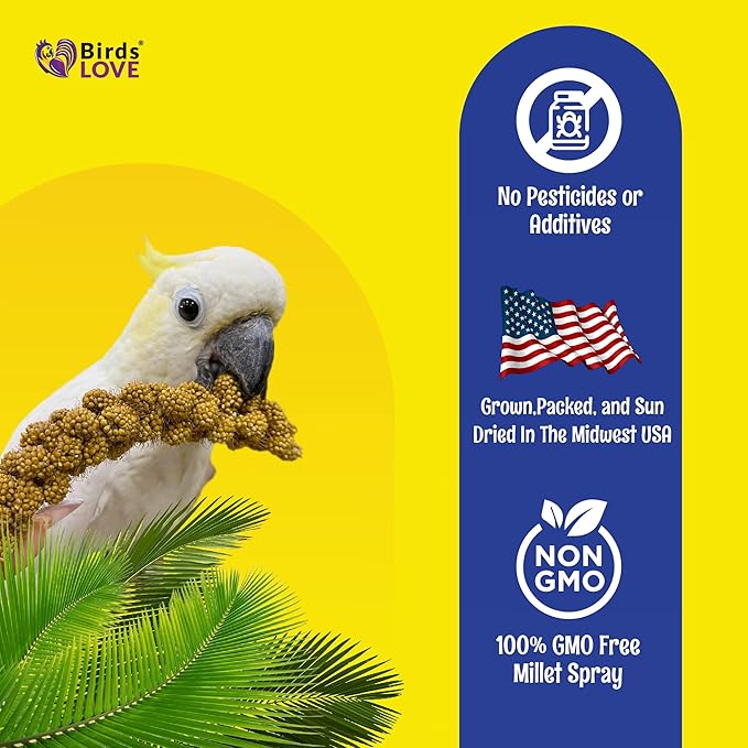Birds LOVE Economy & Thin Special Spray Millet – 5 lb GMO-Free, No Stems (Only Edible Tops) – Healthy Treat for Cockatiels, Lovebirds, Parakeets, Finches & Canaries