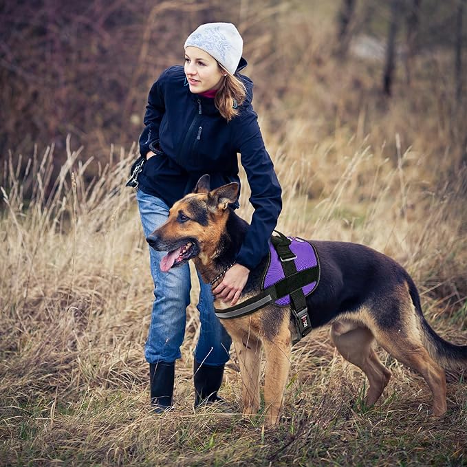 Dogline Dog Harness, Reflective No-Pull Adjustable Vest with Handle for Walking, Training, Breathable, No - Choke Harness for Small, Medium or Large Dogs Room for Patches Girth 22"-28" in Purple