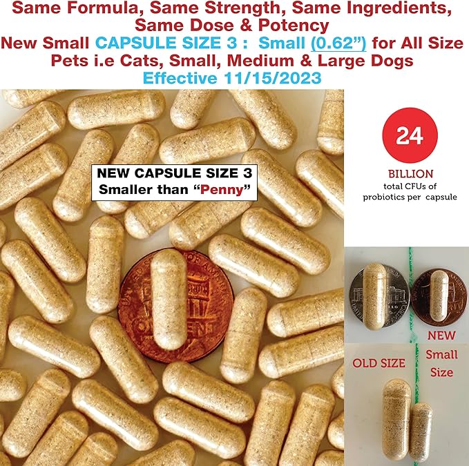 Azovast Plus Kidney Health Supplement for Dogs & Cats, 720ct - NO Refrigeration Required - Help Support Kidney Function & Manage Renal Toxins - Renal Care Supplement Capsule(U.S.A)(720 Caps)