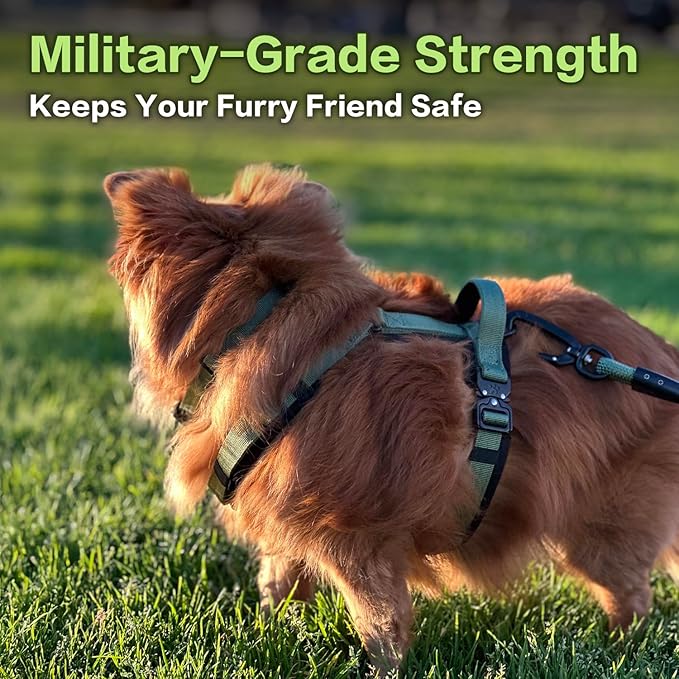 CLEPAWS Dog Harness for Medium Dogs, No Pull Dog Harness Easy Walk with Metal Hardware, Ergonomic Y-Shaped Design, Soft Padding, Padded Handle, Durable High-Tensile Nylon (Evergreen, M)