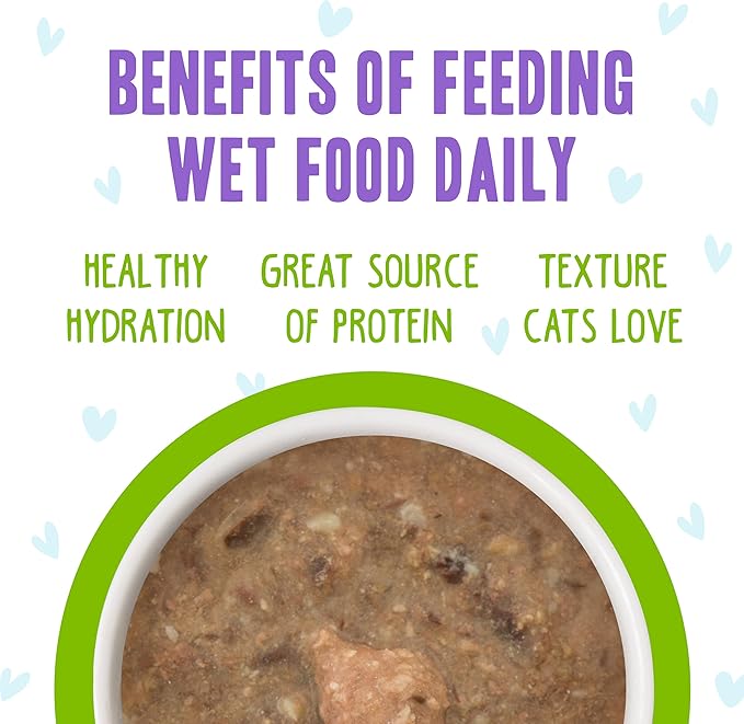 Weruva B.F.F. OMG - Best Feline Friend Oh My Gravy!, Selfie Cam! with Chicken & Lamb in Gravy Cat Food, 5.5oz Can (Pack of 8)