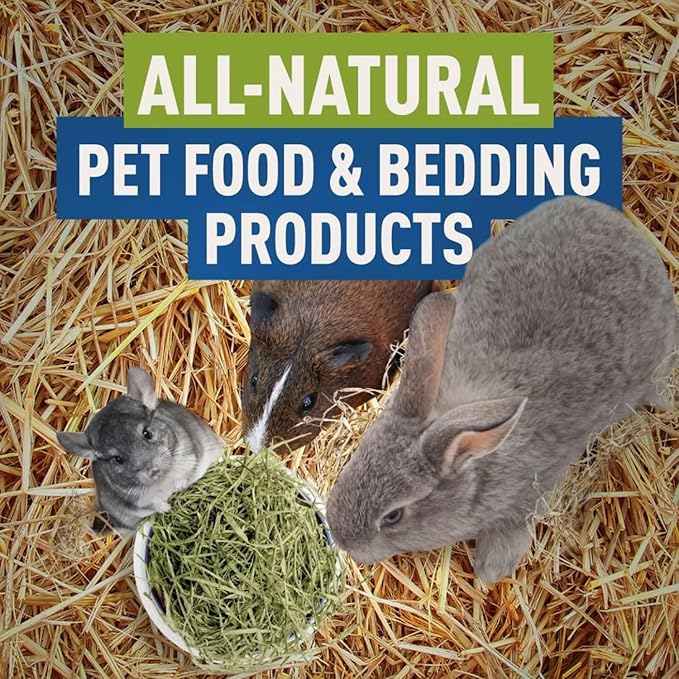 Blue Mountain Hay | Organic Bedding Straw (25 lb) | Natural Pet Bedding & Insulation for Rabbits, Guinea Pigs, Goats, Chickens, Stray & Feral Cats, and Small Animal Shelters