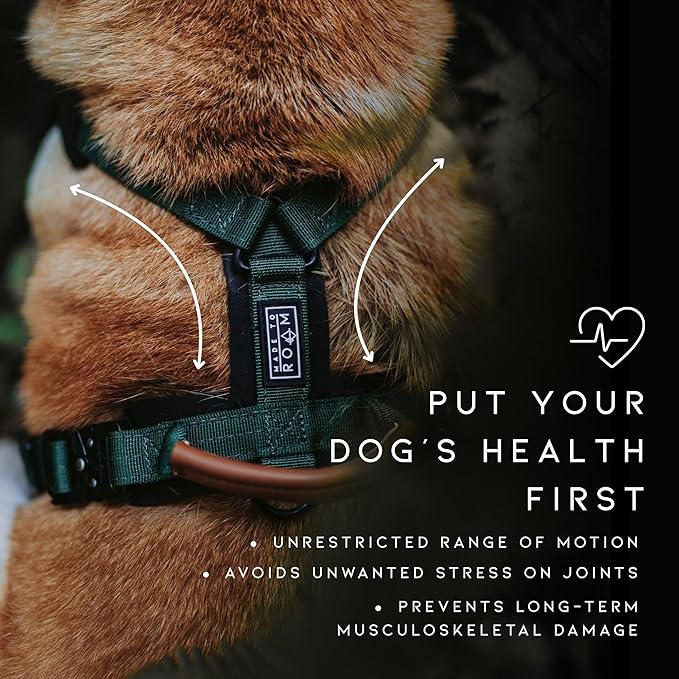 MADE TO ROAM Premium Explorer Harness - Y-Shaped Dog Harness with Adjustable Durable Nylon, Soft Padding, Metal Buckles and Leather Handle for Small, Medium, Large Dogs (Maine Marina, Size 6)