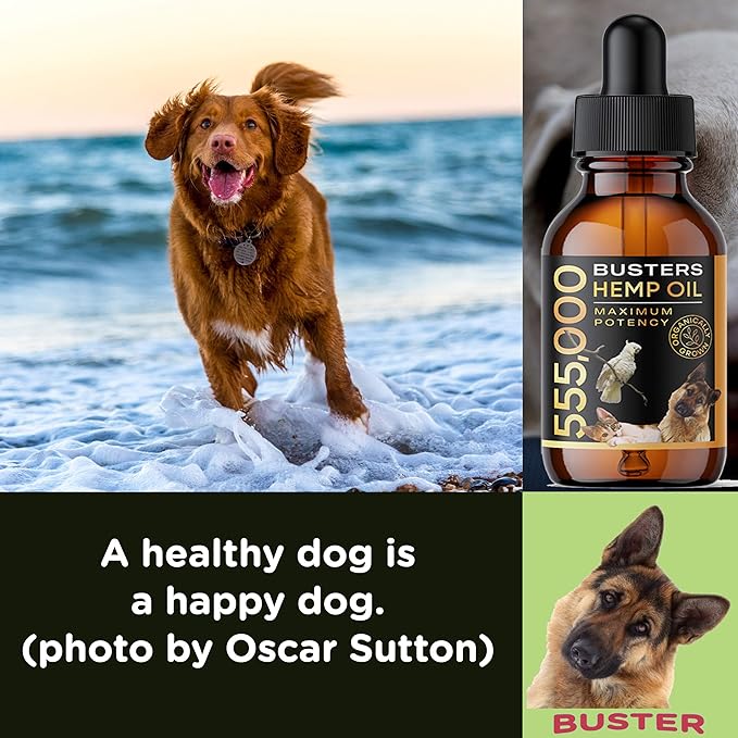 Buster's Organic Hemp Oil 530,000 4Pack-4month Supply for Dogs & Cats - Max Potency - Made in USA - Omega Rich 3, 6 & 9 - Hip & Joint Health, Natural Relief, Calming Drops