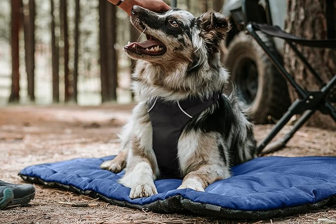 K9 Ballistics Tough Ripstop Dog Crate Pad - Durable & Machine Washable with Non-Skid Bottom and 120-Day Warranty, Fits 30" Wire Crates - Small, Blue Quartz
