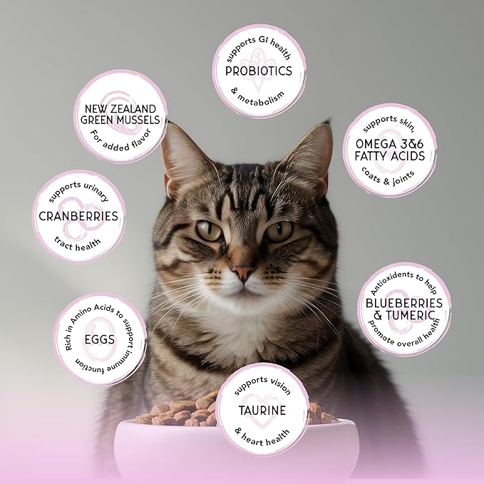 Blackwood Bounty Dry Cat Food, Red Meat Recipe for All Life Stages, 2 Pound Bag, High Protein, Grain Free