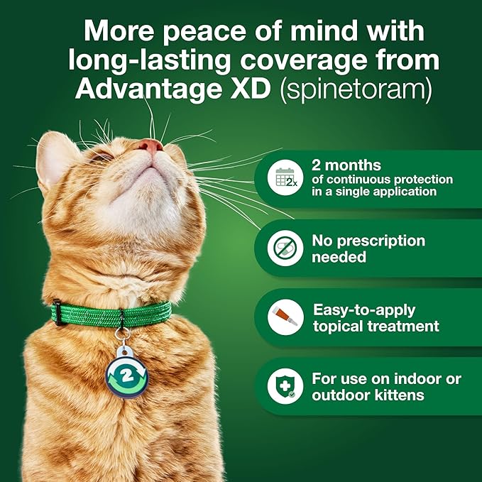 Advantage XD Small Cat Flea Prevention & Treatment For Cats 1.8-9lbs. | 4-Topical Doses, 2-Months of Protection Per Dose
