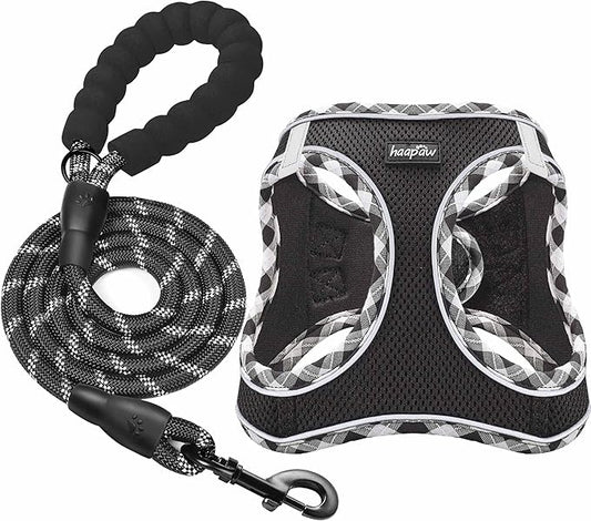 haapaw Dog Harness with Leash Set, No Pull Adjustable Reflective Step-in Puppy Harness with Thickened Padded Vest for Extra-Small/Small Medium Dogs