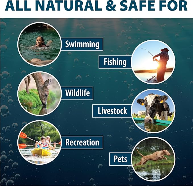 Airmax Pond Dye Packets Black DyeMond Colorant for Large Pond & Lake, Beneficial UV Blocking Color Concentrate, Maintain Clean & Clear Water, Fish, Bird & Animal Safe, 2 Soluble Packets