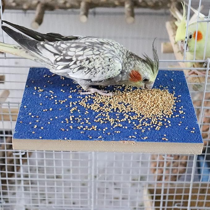 7.9×5.9 Inches Large Bird Perch Stand Platform, Natural Wooden Bird Cage Accessories, Bird Stand Perch with Rough Quartz Sand Surface for Parrot, Parakeet, Budgies, Cockatiel, Rats