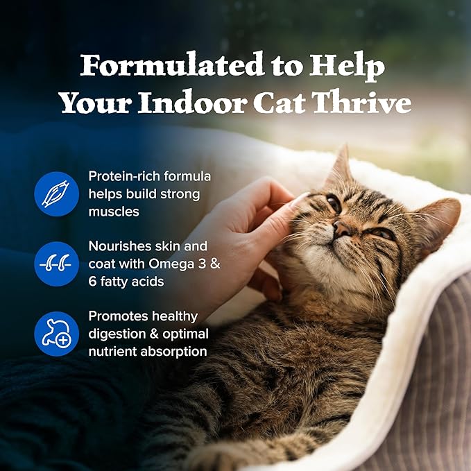 Blue Buffalo Wilderness High Protein, Natural Adult Indoor Dry Cat Food, Chicken 15-lb