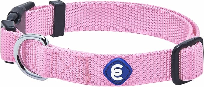 Blueberry Pet Essentials Small Dog Collar in Fuchsia Pink | Adjustable & Eco-Friendly Durable Nylon Strap | Classic Collar for Small Dogs, Boy & Girl Pets