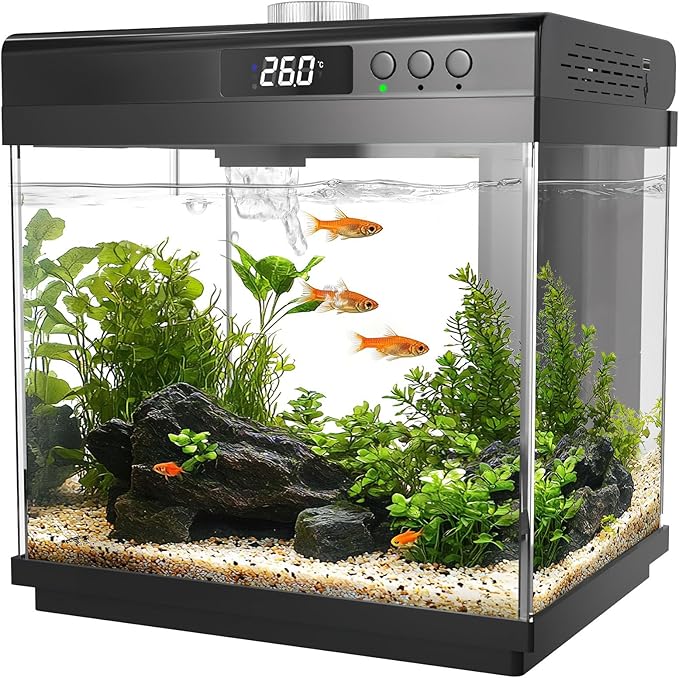 AQQA 3.7 Gallon Aquarium Starter Kit Small Glass Fish Tank with Filter and Light (10 Colors Adjustable) Desktop Self-Cleaning Betta Fish Tank Kit Office & Home Decor Idea (Black)