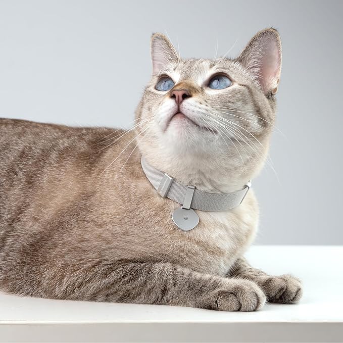 Safety Cat Collar Pro and Tag Set - U.S. IDA Gold Award, Elastic Release Cat Collar Charm Tag, Non Breakaway Cat Collar Adjustable with Charm for Kitten Small Large Cats (Linen, S)