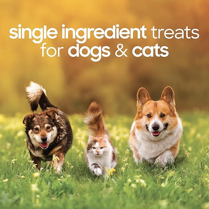 smallbatch Pets Premium Freeze-Dried Lamb Heart Treats for Dogs and Cats, 3.5 oz, Made and Sourced in The USA, Single Ingredient, Humanely Raise Meat, No Preservatives or Anything Artificial Ever