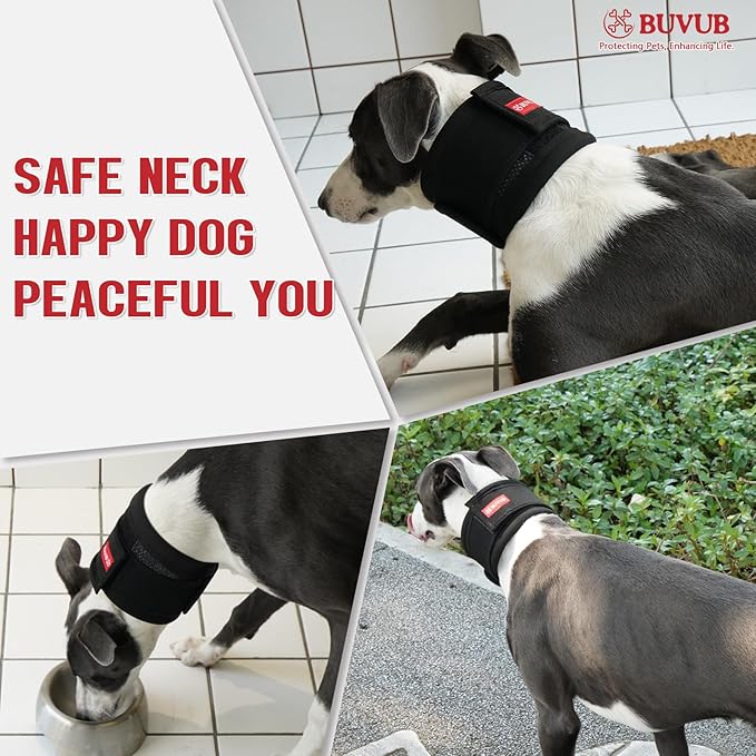 Adjustable Dog Neck Brace for Neck Pain & Injury Relief - Soft & Comfortable Support Collar for Dogs for Recovery After Surgery or Injury(Large)