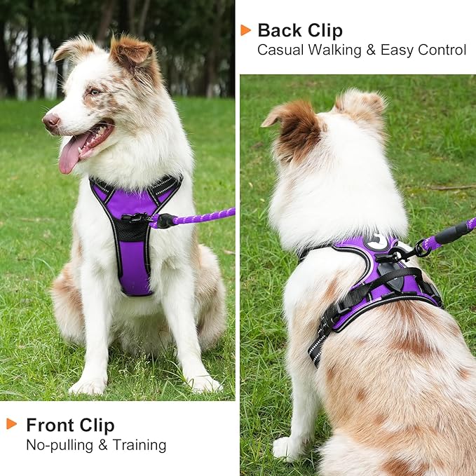 Taglory Light Up Dog Harness, Rechargeable No Pull Dog Vest with 3 Lightning Modes, Reflective Dog Harness with 2 Leash Clips & 4 Adjustable Slide Strips for Large Dogs, Purple-Orange, XL