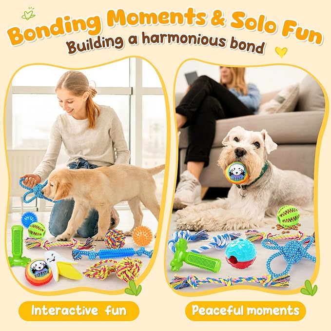 KIPRITII 25 Pack Various Puppy Dog Toys for Teething, Entertainment & Interaction, Puppy Chew Toys Pack with Rope Toy, Treat Balls and Dog Squeaky Toys for Puppies & Small Dogs