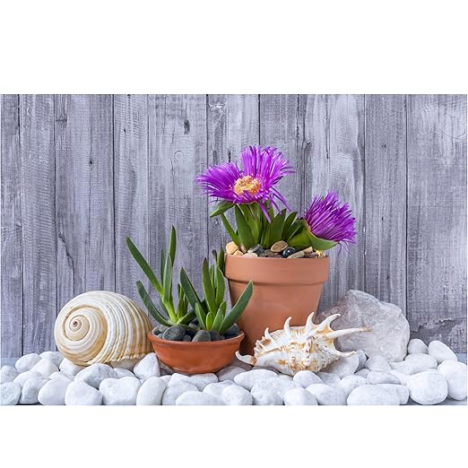 40lbs White River Rocks for Landscaping, 3-4 Inch Large Natural Unpolished Bulk Pebbles, Hand-Picked Premium Stones for Garden Design Fish Tank, Pathways and Backyard