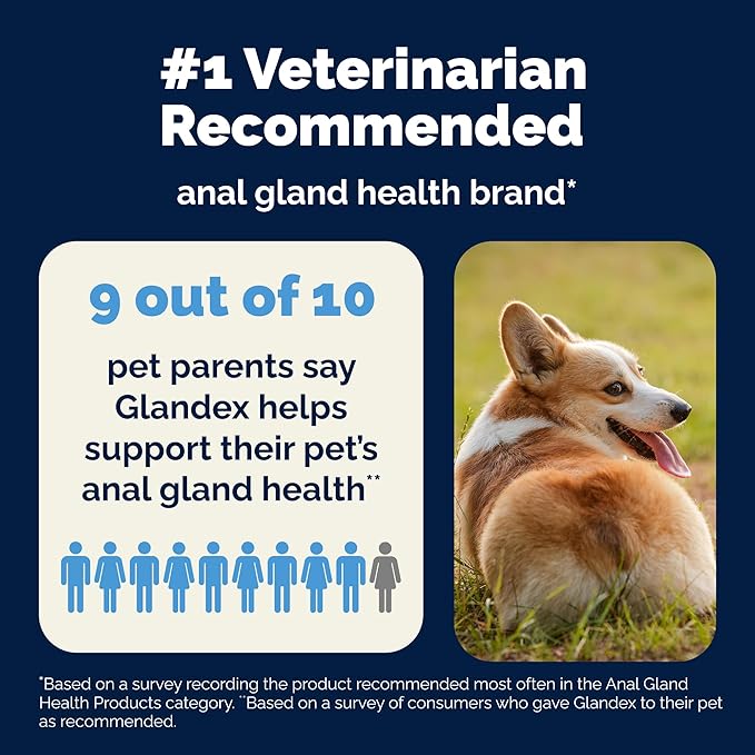 Vetnique Glandex Anal Gland Soft Chew Treats with Pumpkin for Dogs Digestive Enzymes, Probiotics Fiber Supplement for Dogs Boot The Scoot (Peanut Butter Chews, 60 Count)
