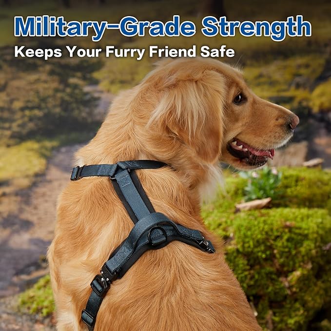 CLEPAWS Dog Harness for Medium Dogs, No Pull Dog Harness Easy Walk with Metal Hardware, Ergonomic Y-Shaped Design, Soft Padding, Padded Handle, Durable High-Tensile Nylon (Nightfall, M)