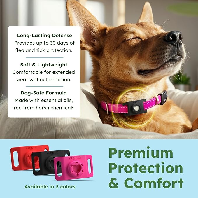BugMD Paw Guardian Flea and Tick Prevention Pendant for Dogs with AirTag Holder | Plant-Powered Flea & Tick Control for Dog Collars Harnesses | Dog Tag with Air Tag Holder - Black