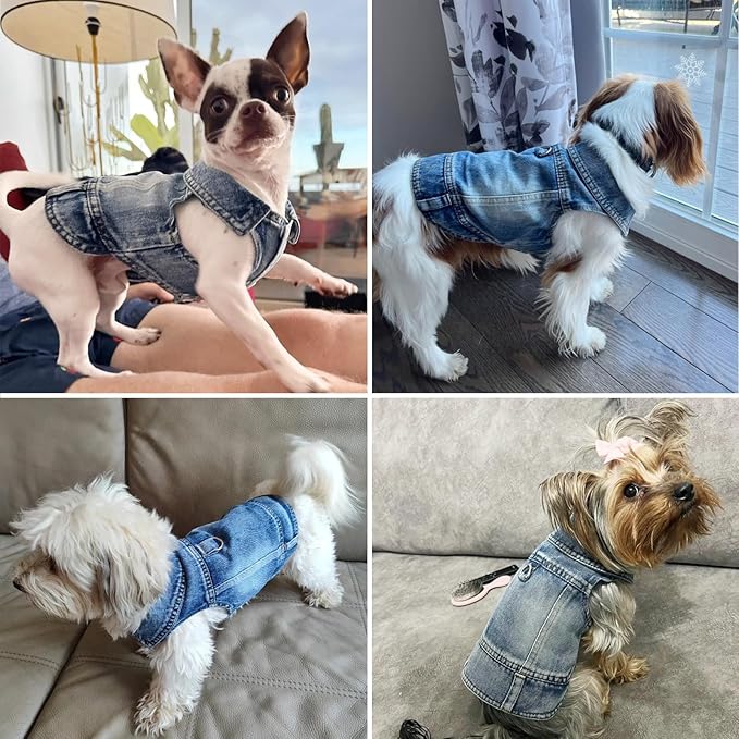 Puppy Clothes for Small Dogs Boy,Classic Western Denim Dog Coat,Dog Jeans Jacket with Leash D-Ring,Pet Cat Costumes,Cooling Harness Vest for Walking (Blue, Large)