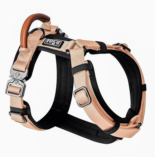 MADE TO ROAM Premium Explorer Harness - Y-Shaped Dog Harness with Adjustable Durable Nylon, Soft Padding, Metal Buckles and Leather Handle for Small, Medium, Large Dogs (Carolina Blooms, Size 4)