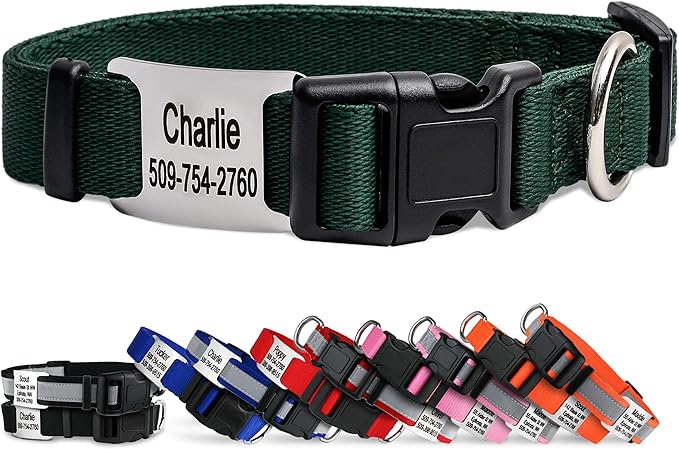 GoTags Personalized Dog Collar with Nameplate, Adjustable Dog Collar with Custom Engraved Slide On Pet ID Tag in Stainless Steel, Silent, No Noise Dog Tag (Hunter Green, Large)