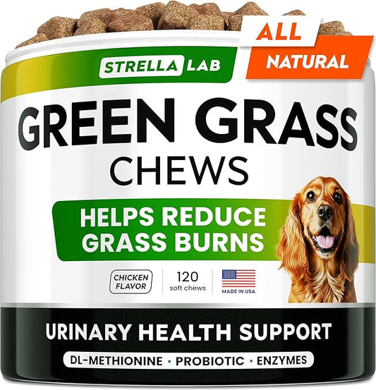 STRELLALAB Green Grass Dog Chews - Dog Pee Grass Helper - Supplement Urine Neutralizer for Grass Burn Spots - Grass Treatment for Pet Urine - Pee Lawn Repair Treats with Probiotics - Made in USA