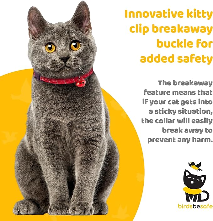 BirdsBeSafe® Break Away Cat Collar with Bell, Reflective Thread for Night Visibility, Comfortable Elastic Stretch Cat Collar to Protect Cat from Getting Stuck in The Garden.