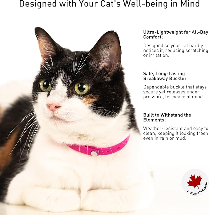 Breakaway Cat Collar - Soft, Comfortable, and Lightweight Safety Buckle Collar with Name Tag Ring for Outdoor Cats and Sensitive Skin Kittens by Nuvuq (6 ⅞" to 10 ¼", Pink)