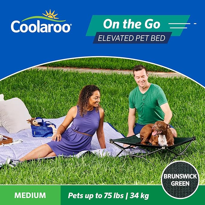 Coolaroo On-The-Go Elevated Dog Bed - Foldable Pop-Up Travel Dog Bed with Breathable, Moisture-Resistant Fabric, Carry Bag Included, Lightweight & Portable, Brunswick Green, Medium
