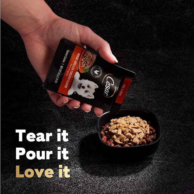 Cesar Filets in Gravy Wet Dog Food Wood-Grilled Chicken Flavor, 1.76 oz. Mini-Pouch (20 Count, Pack of 1)