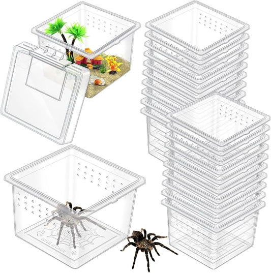 20 Pcs Insect Spider Terrariums Breeding Box Small Reptile Hatching Container Transparent Cricket Keeper Breeder Box Feeding Spider Cage with Lid for Scorpion Gecko Tortoise Centipede Tarantula