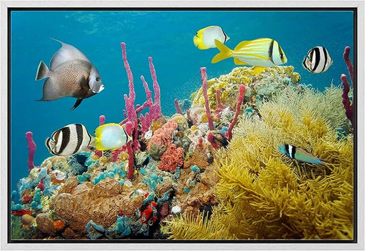 wall26 Framed Canvas Print Wall Art Deep Sea Marine Fish with Coral Reef Nature Ocean Photography Realism Nautical Scenic Relax/Calm Multicolor Ultra for Living Room, Bedroom, Office - 16"x24" White