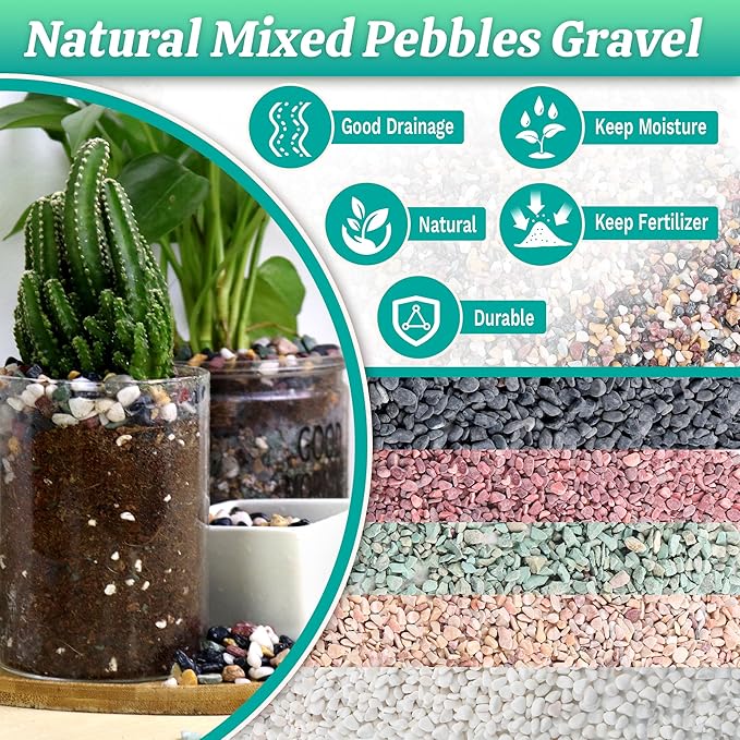 AVALUTION Aquarium Gravel for Plants -2.4lb Fish Tank Gravel for Succulent Cactus & Bonsai, 1/4Inch Decorative River Rocks Pebbles for Gardening, Flower Pots, Landscaping, Terrarium